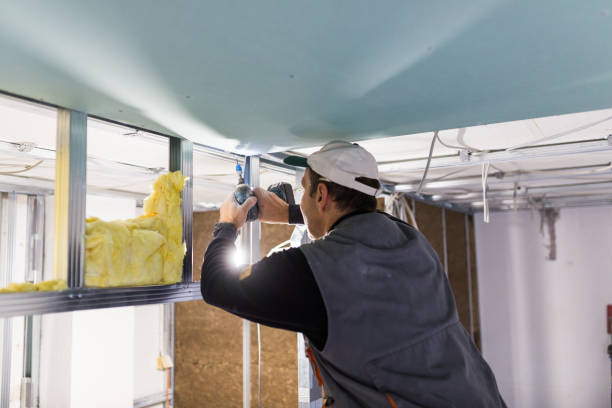 Best Residential Insulation in Ripley, WV