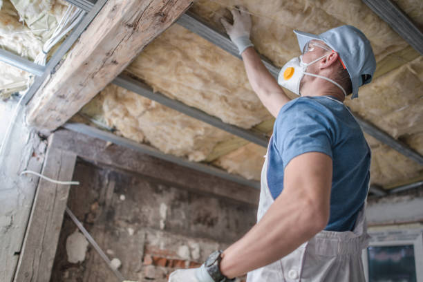 Best Commercial Insulation in Ripley, WV