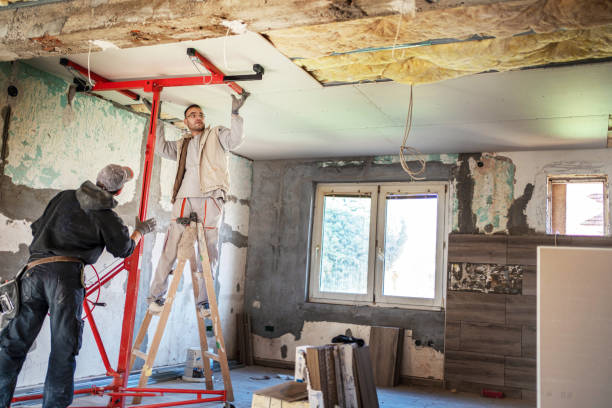 Best Geographic-Specific Insulation Services in Ripley, WV