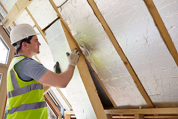 Best Insulation for Specific Applications in Ripley, WV